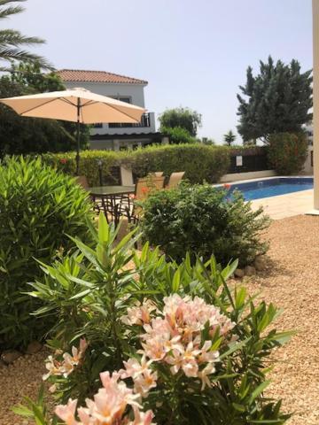 Villa Denis, Marine Drive, Coral Bay Peyia Dış mekan fotoğraf